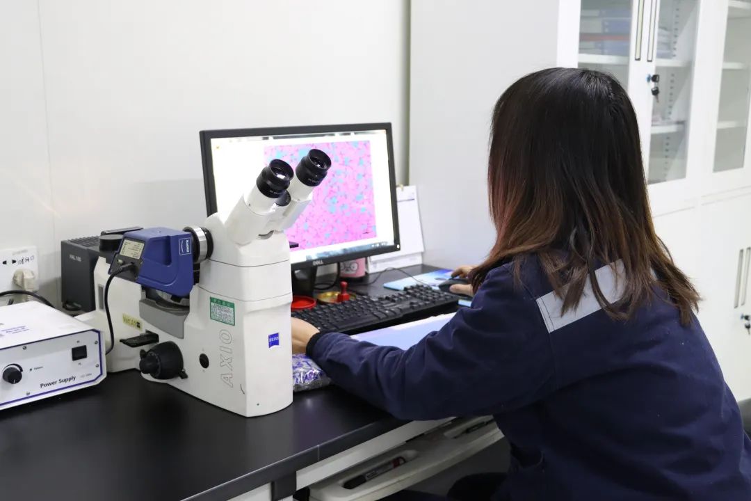 綠色智造,引領未來!明泰鋁業產品結構升級與再生鋁戰略深化之路 綠色智造,引領未來!明泰鋁業產品結構升級與再生鋁戰略深化之路